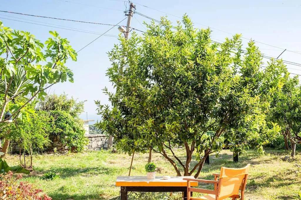 Color Villa - South Paradise 4 Χειμάρρα 0*,  Αλβανία