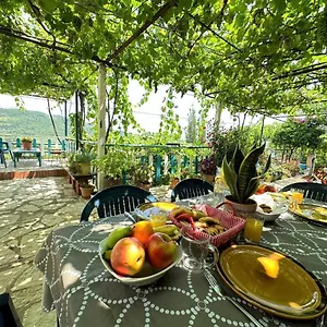 Boungainvillea Himarë